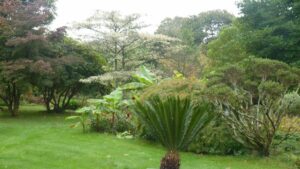 Jardin22Francis04
