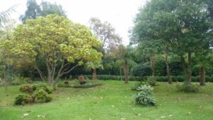 Jardin22Francis05