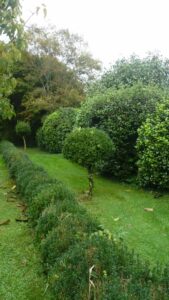 Jardin22Francis08