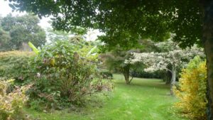 Jardin22Francis10