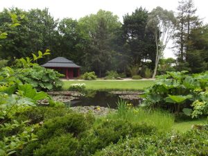Jardin22Kerlouis04