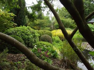 Jardin22Kerlouis06
