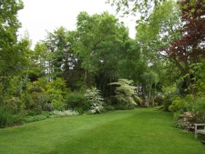 Jardin22Kerlouis07