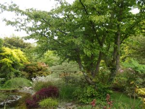 Jardin22Kerlouis08