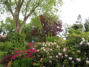 Jardin22Kerlouis11