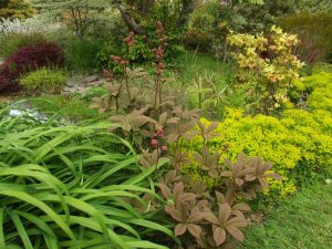 Jardin22Kerlouis12