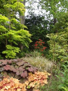 Jardin22Kerlouis13