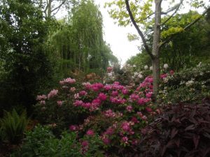 Jardin22Kerlouis14