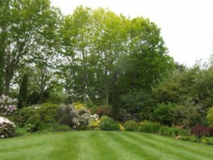 Jardin22Kerlouis17