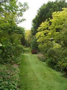 Jardin22Kerlouis19