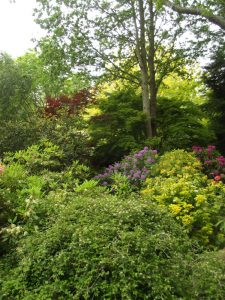 Jardin22Kerlouis20