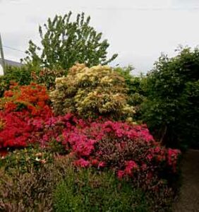 Jardin56MichelleSG01