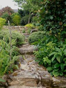 Jardin56MichelleSG03