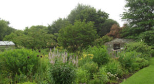 Jardin56Raphaelle01-408×225