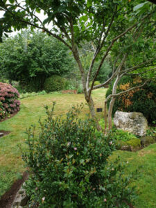 Jardin56Raphaelle05-600×800