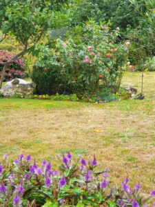 Jardin56Raphaelle06-600×800