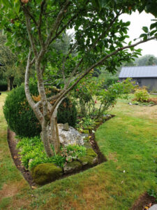 Jardin56Raphaelle07-600×800