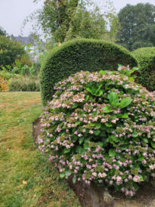 Jardin56Raphaelle11-600×800