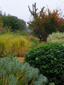 Jardin56Raphaelle13-600×800