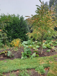 Jardin56Raphaelle14-600×800