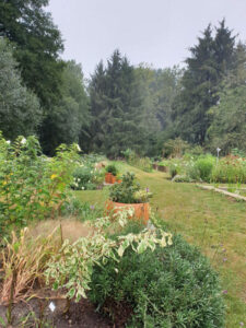 Jardin56Raphaelle15-600×800