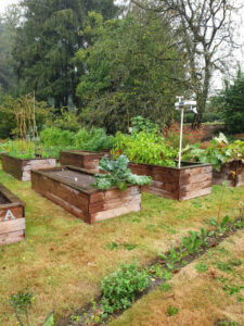 Jardin56Raphaelle16-600×800