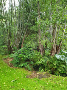 Jardin56Raphaelle18-600×800
